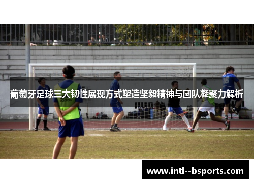 葡萄牙足球三大韧性展现方式塑造坚毅精神与团队凝聚力解析